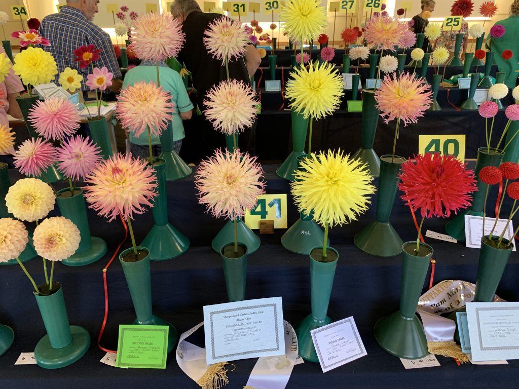 Shepparton Dahlia Society (Victoria) Dahlia Society of Australia