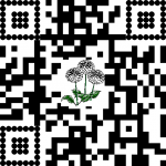 DSV Website QR